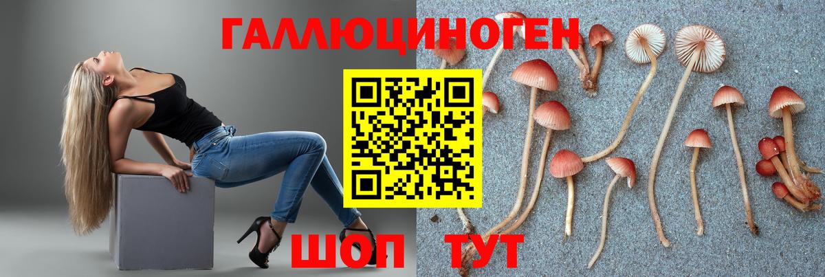Галлюциногенные грибы Psilocybine cubensis  Псилоцибиновые грибы прущие грибы  Нефтекумск  даркнет сайт  Вход с VPN 