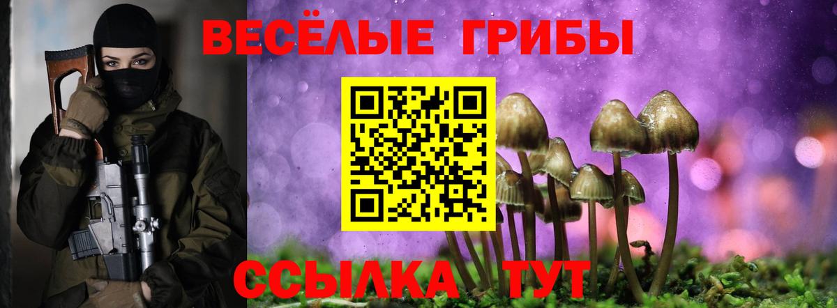 Псилоцибиновые грибы Psilocybe Нефтекумск